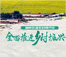 ���o��(c��)���(xi��ng)Ŀ��(zhu��n)�}